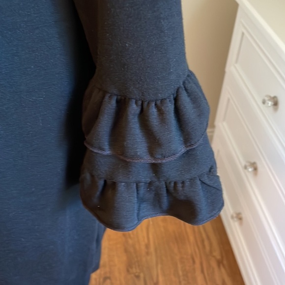 NWT MAX STUDIO SHEATH WITH RUFFLE SLEEVES - Picture 2 of 4